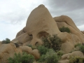 Joshua Tree NP